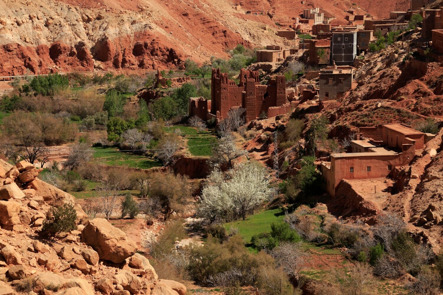 brown rock formation during daytime