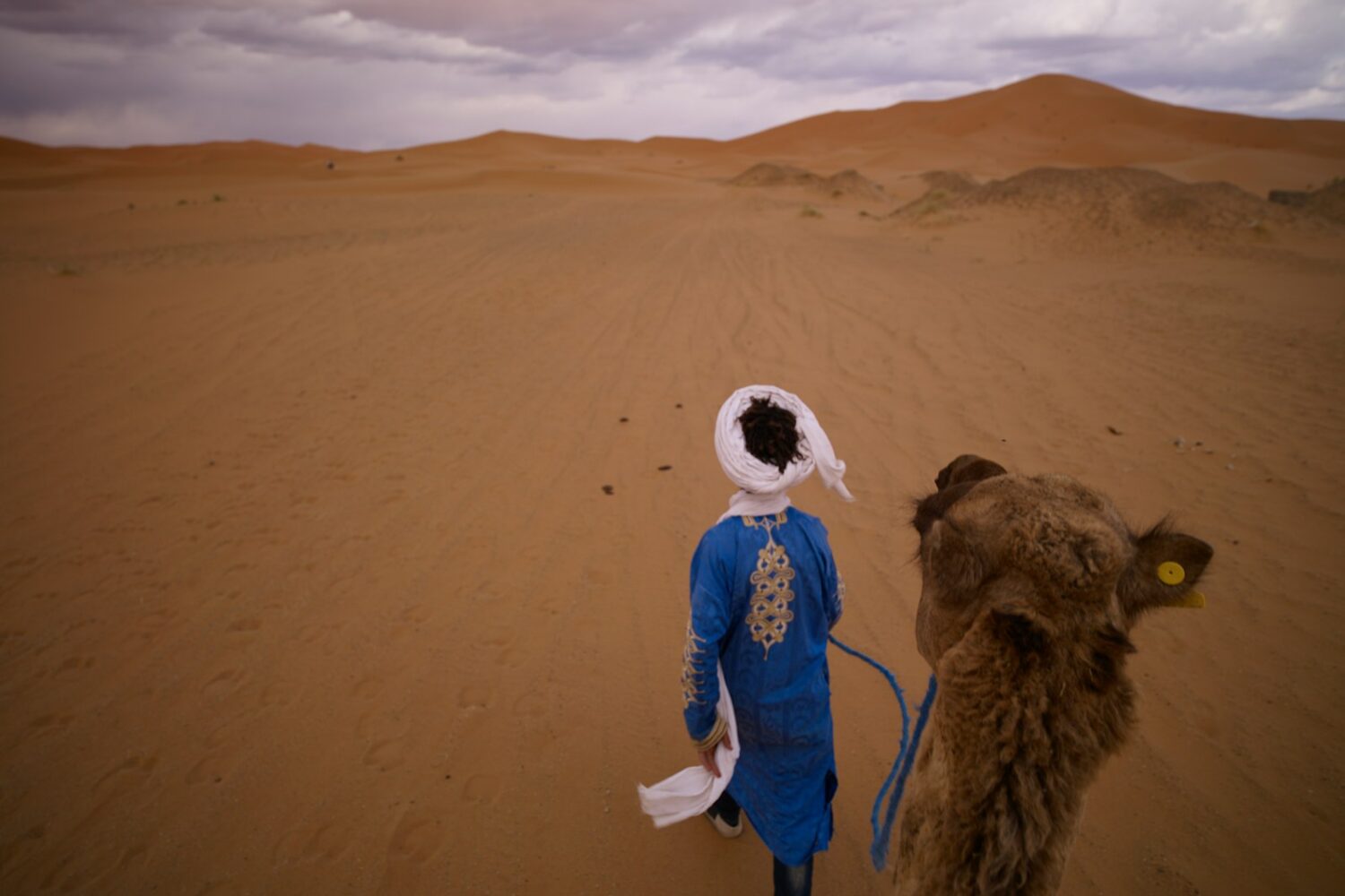 person walking beside camel