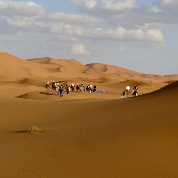 8 days from Marrakech to Fes via desert