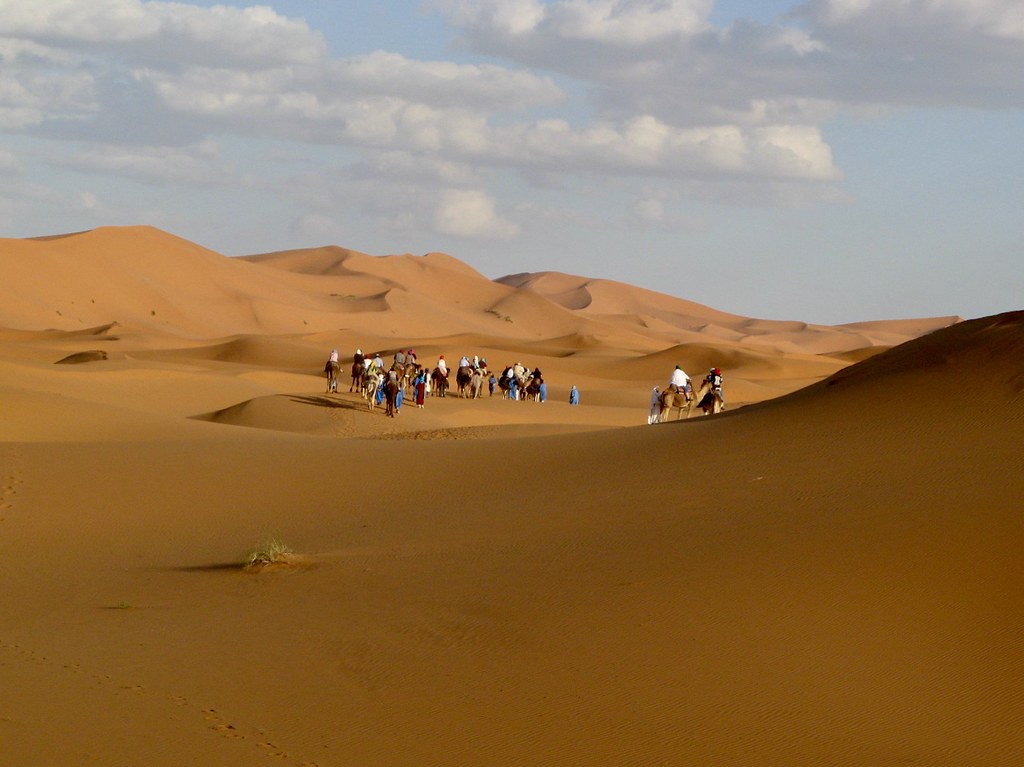 8 days from Marrakech to Fes via desert