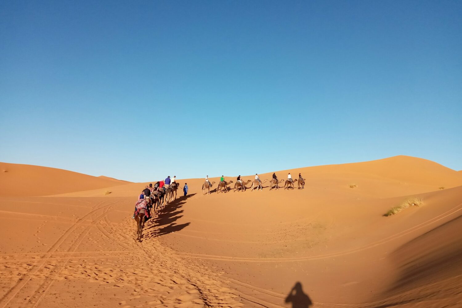 people riding camel in desert