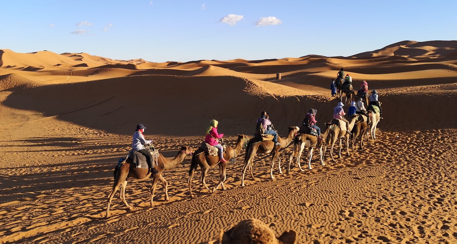 people riding camels on desert during daytime