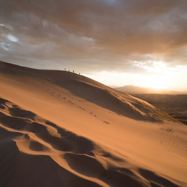 8 days tour From Casablanca to desert