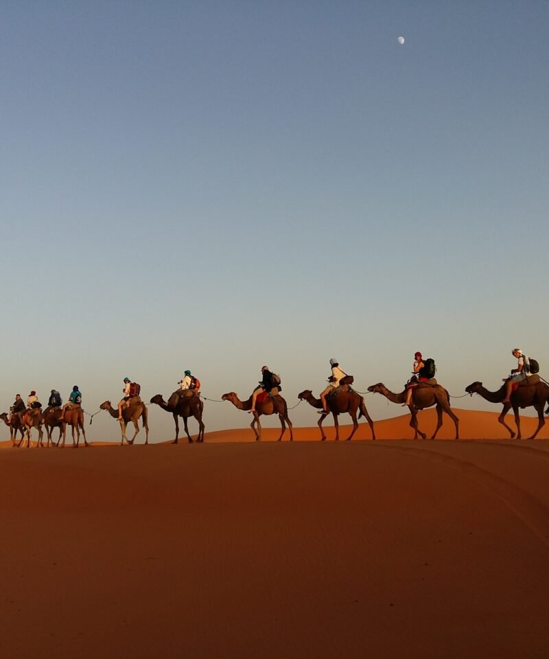 File:Berber Path.jpg