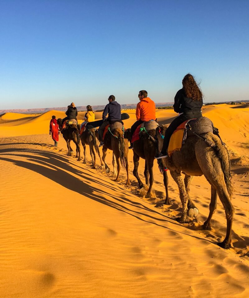 Erg Chebbi, Sahara Desert, Morocco, 摩洛哥 – 49647943402