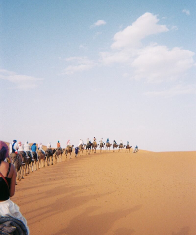 Photo by Celia Arroyo A group of people riding camels across a desert